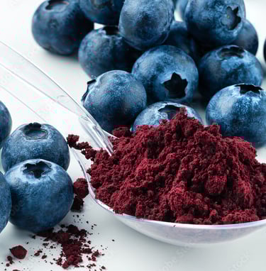 liofilizuotos uogos ir jų milteliai, šaltyje džiovintos mėlynės