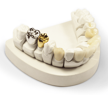 Crown, Bridge, Denture Laboratory