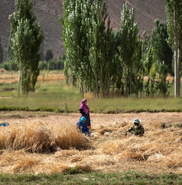 Rural women in agriculture