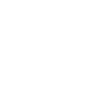 Aerialogists logo - design by Jerry Gibbons
