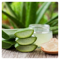 Freshly sliced aloe vera leaves and natural gel in a jar for skincare on a wooden table.