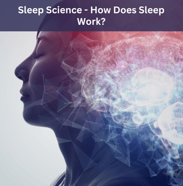 Sleep Science. How does sleep work? Circadian Rhythms. Sleep Cycles. Stages of Sleep 