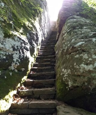 Worn stairs on a trail in a National Forest.
