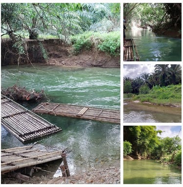 thailand khao lak bamboo rafting