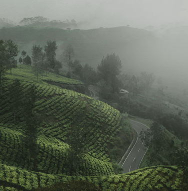 Periya, Wayanad