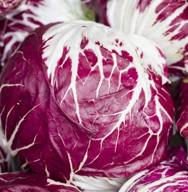 Radicchio