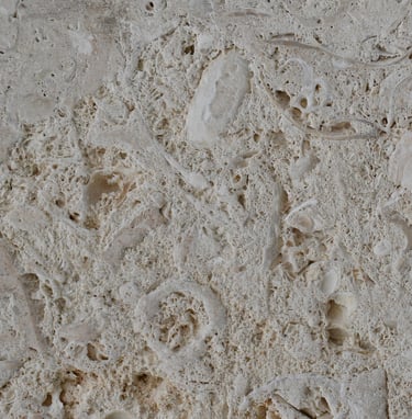 CAC Coral Brushed Shellstone