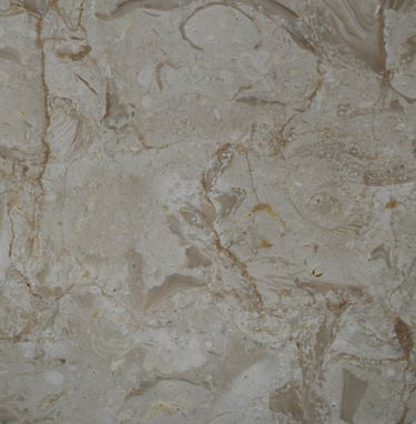 Shells Reef Beige Brushed shell stone