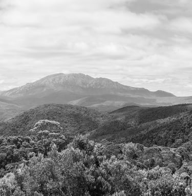 Tasmanian Wilderness DLC Spatial Surveying