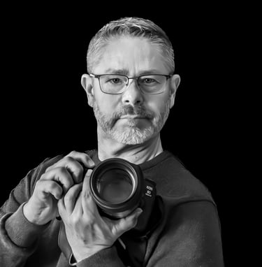 daniel berg photographe, chiens attrapant des friandises, friandogs, dogs catching treats, treats