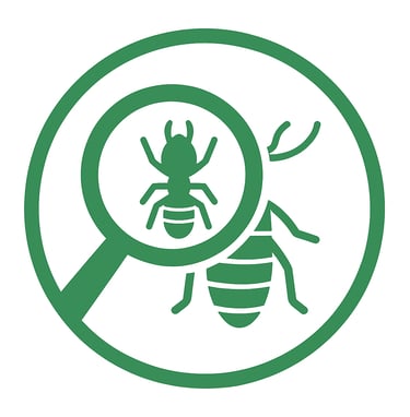 inspecting termite with magnifying glass