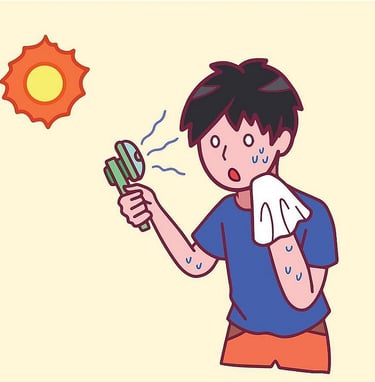 The Danger of Heatwaves and Heatstrokes