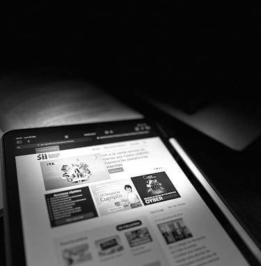 Liquidaciones en contra del SII