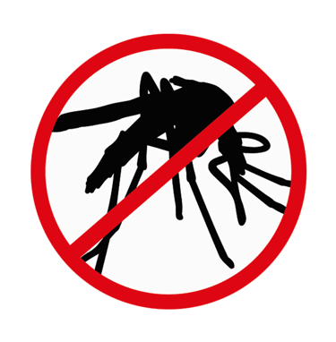 a mosquito fly insect insect insect insect insect insect insect insect insect insect insect insect insect