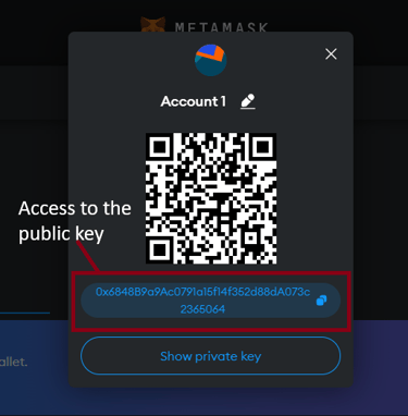 Metamask access to the public key