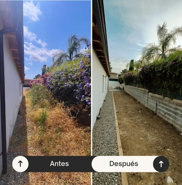 Servicio de jardinería