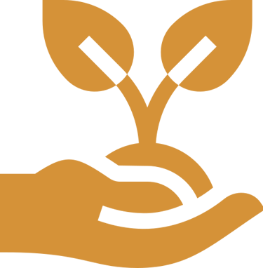 a hand holding a plant with two leaves