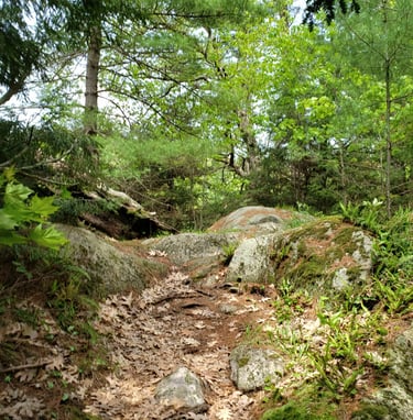 Rock Dunder during spring and summer time while hiking