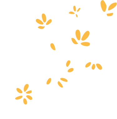 pétales de fleurs