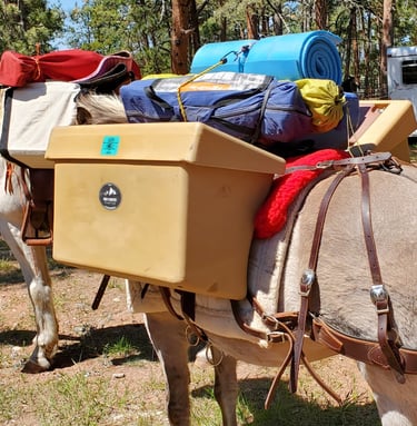 a horse drawn carriage with a horse drawn carriage