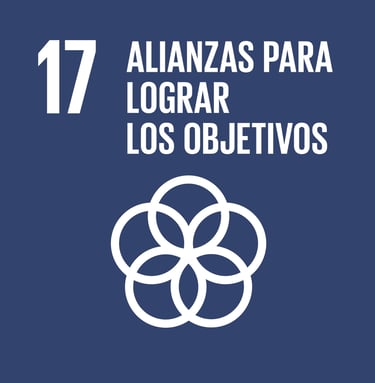 ODS 17