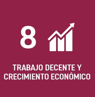 ODS 8