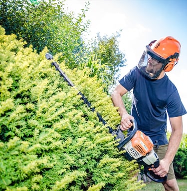 Wir sind da, wenn Ihre Pflanzen uns brauchen  Auch der Garten prägt das äußere Erscheinungsbild Ihre