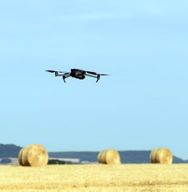 Drone DJI Mavic 3 Thermal Entreprise