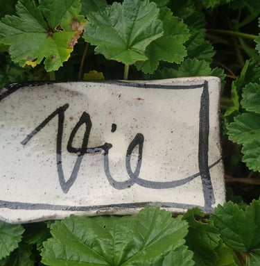 le mot VIE illustré dans un décor naturel symbolisant les pratiques respectueuses de l'environnement