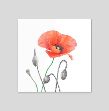 Poppies sticker