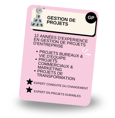Gestion de projets PMO Paris