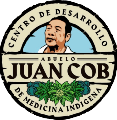 logo medicina tradicional maya