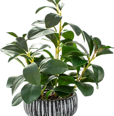 Artificial rubber plant with lush green leaves in a black and white striped ceramic pot.