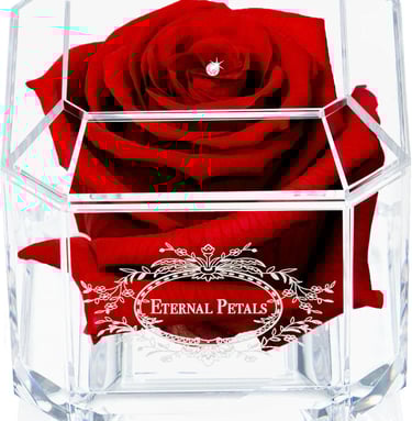 Real Rose That Lasts Years