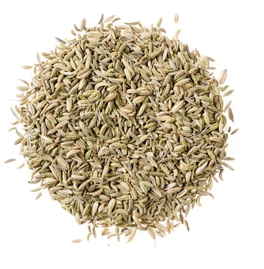 Fennel seeds trader