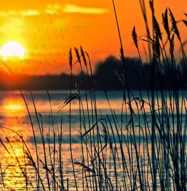 a sunset over Lake Texoma with tall grass