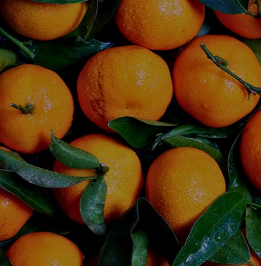 a bunch of oranges are shown in this picture