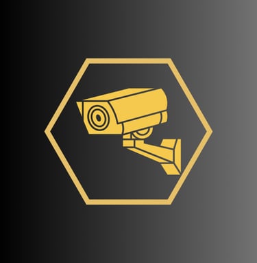 Stebėjimo kamerų systema