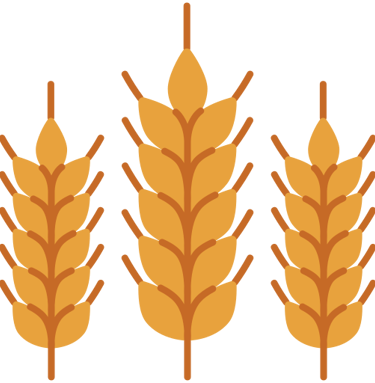 Céréaliculture