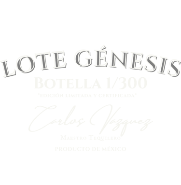 LOTE GENESIS EL VILLANO