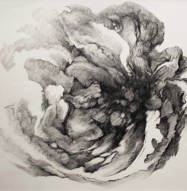"Maelstrom" Graphite on Paper $300
