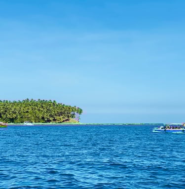 deatils about long island by overhaul