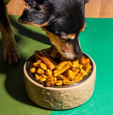 Dog eating nutritious plant-based dog food