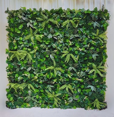 5D Plant Backdrop