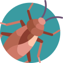 icon απεντομωση bglue