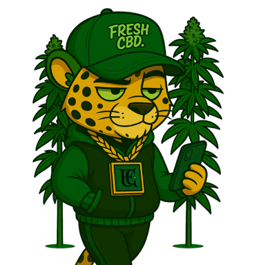 Leopardo Fresh CBD rodeado de plantas de CBD con gorra y sudadera verde