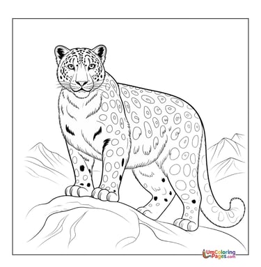 Snow leopard coloring template mountain animal for children