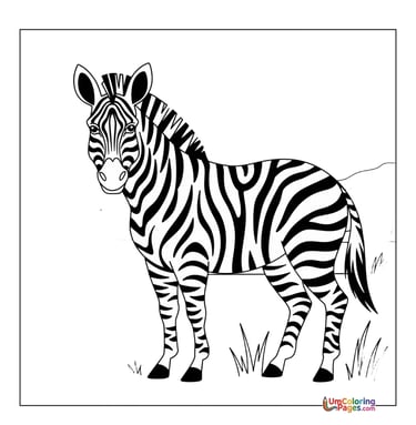 zebra free printable coloring page