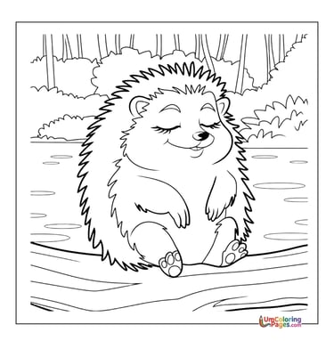 Hedgehog with spines outline drawing kids worksheet