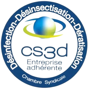 cs3d